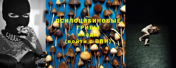 ALPHA-PVP Абинск