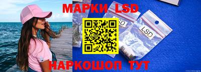 a pvp Краснознаменск