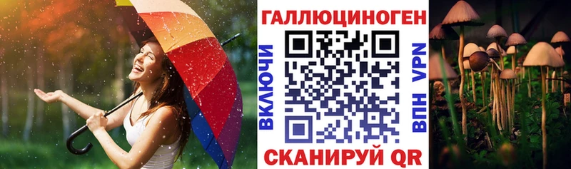 Псилоцибиновые грибы Psilocybe  Мегион 