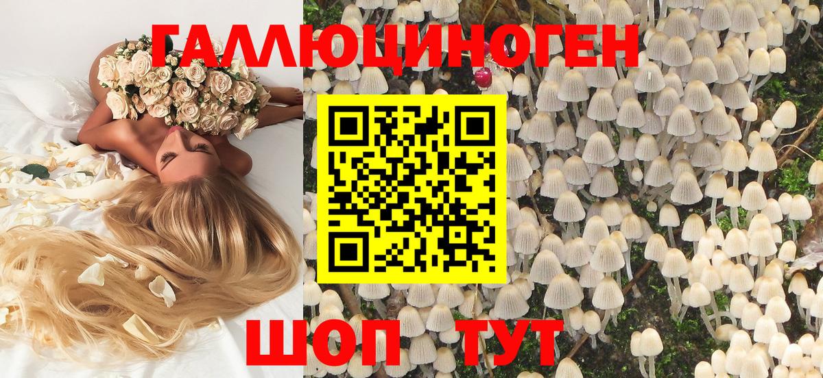 Мегион  Псилоцибиновые грибы ЛСД  Псилоцибиновые грибы ЛСД  Вход с VPN 